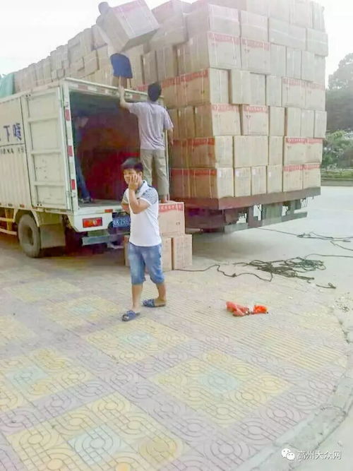 高州市環(huán)華裝卸服務(wù)部 以專業(yè)搬運(yùn)裝卸與一流打包服務(wù)，樹立行業(yè)標(biāo)桿